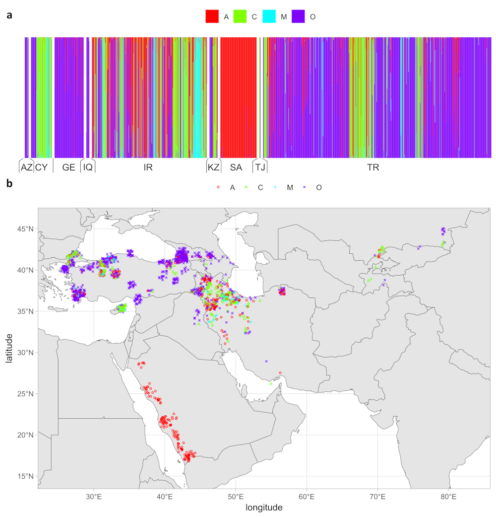 lineage classification